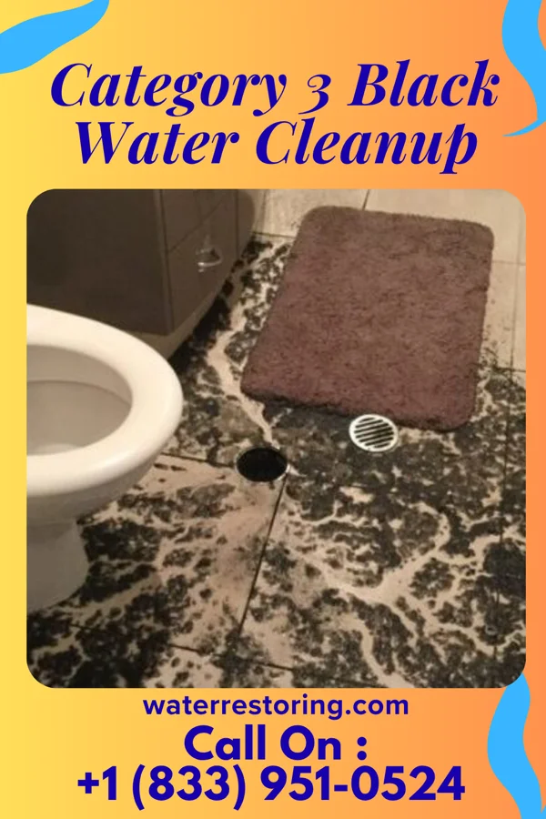 Category 3 Black Water Cleanup in McLean, VA
