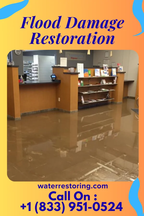 Flood Damage Restoration in McLean, VA