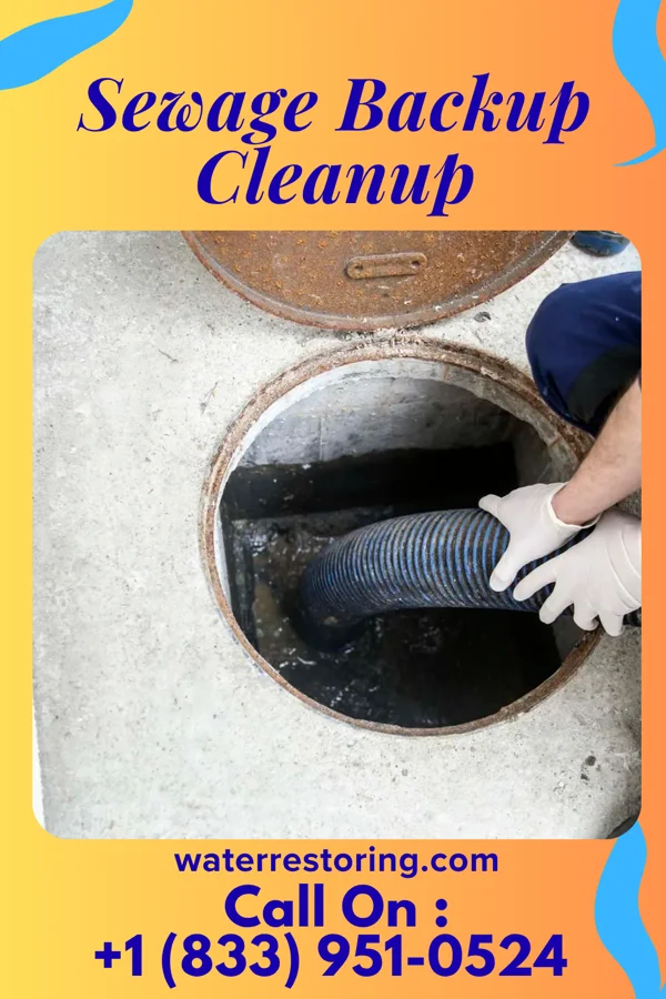 Sewage Backup Cleanup in McLean, VA