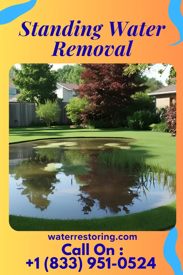 Standing Water Removal in McLean, VA